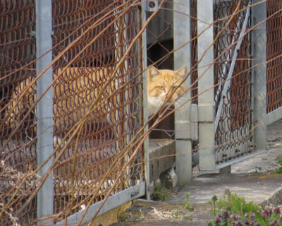 �͂ݏo�������Čł܂���