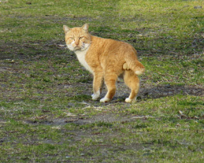 �������ɗ��Ȃ��Ɗm�F���Ă���