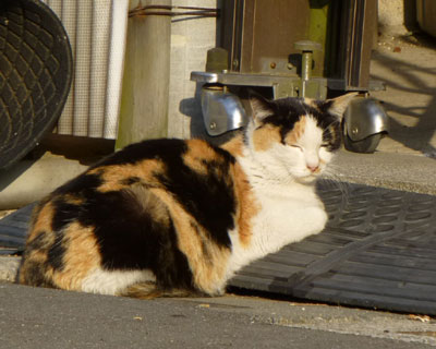 ����ȂƂ���ł��Q��