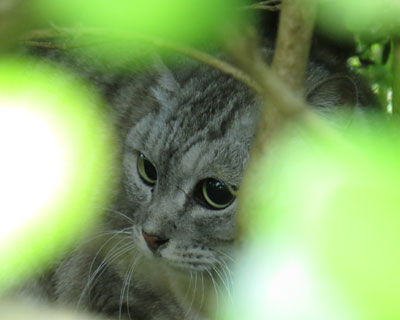 �悭�΂݂ɐ��ޔ��˂������