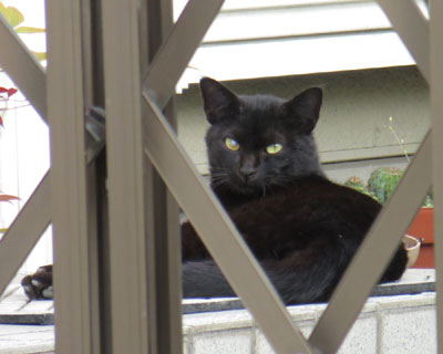 ���N�O���͂悭�������˂������