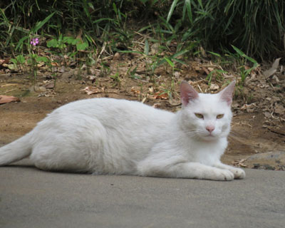 �^���������