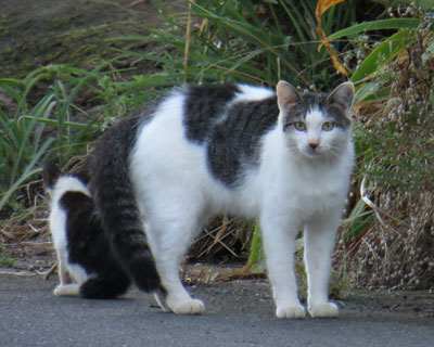 �ی�҂͋�����������