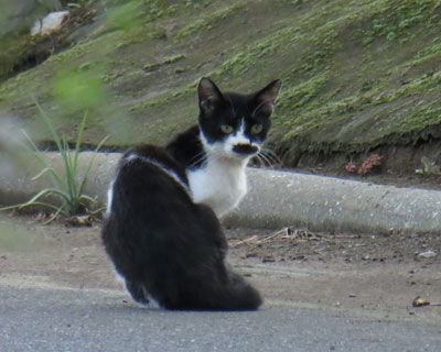 ������l�̕ی�҂̓q�Q�_���X������