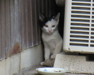 ������͂܂������Ă�