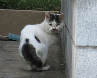 ���ɋC�Â��ē����悤�Ƃ�����