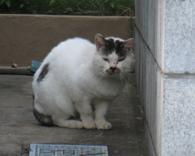 �s�[�s�[�����Ă邾������