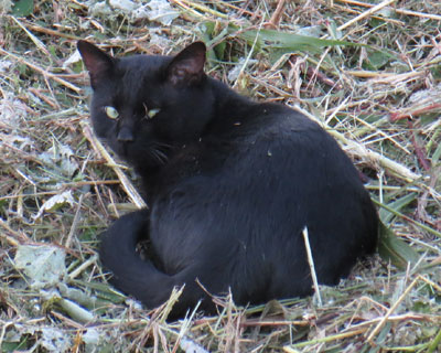 �����A��������