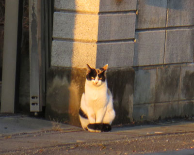 �Ⴄ�Ƃ̑O�Ŏ�����߂�