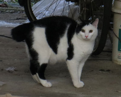 �S������ɕʐl��