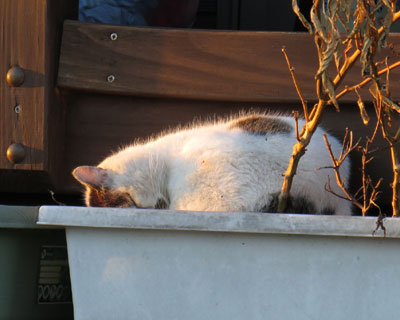 �������Ă��C�Â������߂�Q