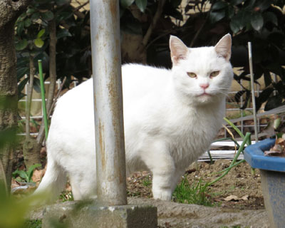 ������Ƃɂ�܂ꂽ