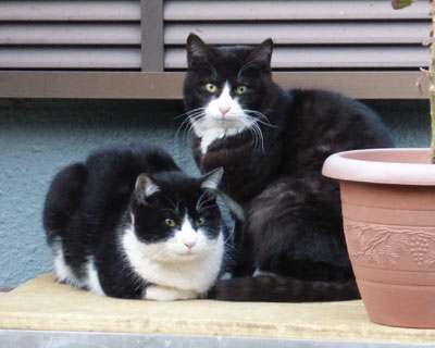 �o�q�H�e�q�H