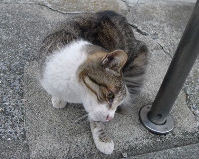 ���~���X���X�������