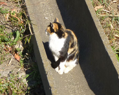 �a�Ńz�J�z�J