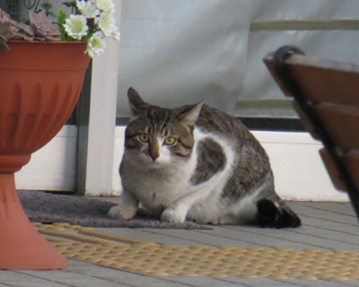 �x���̗X�֋ǑO