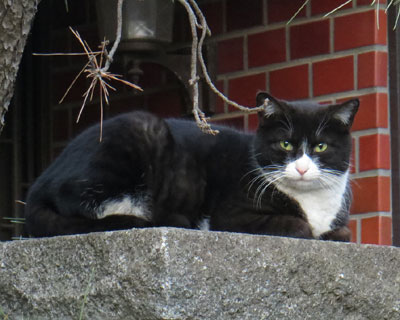 �����l�H