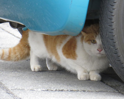 �����ۑ���