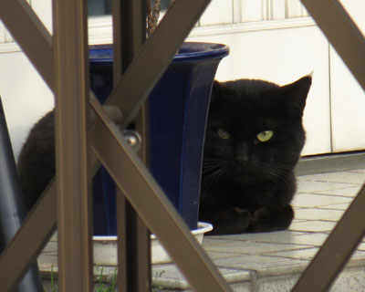 ���˂�����񐶑��m�F