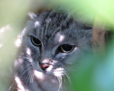 ��������Ō��������t���Ȃ�