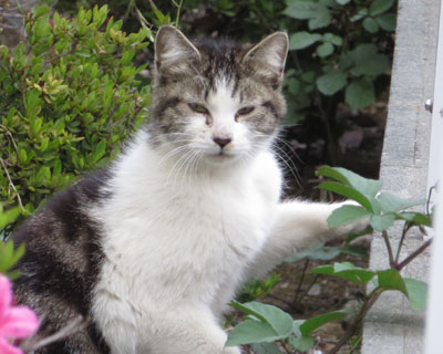 �S��B�����ۂ���