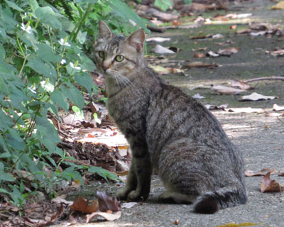 �΂݂��Î����Ă�