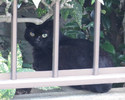 �S����O�т���񂪂悭�����ꏊ��