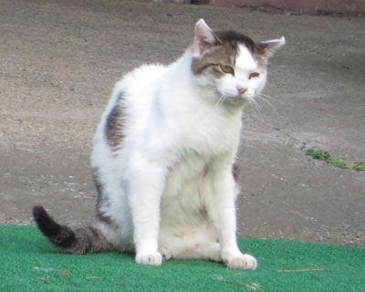 �|���|������