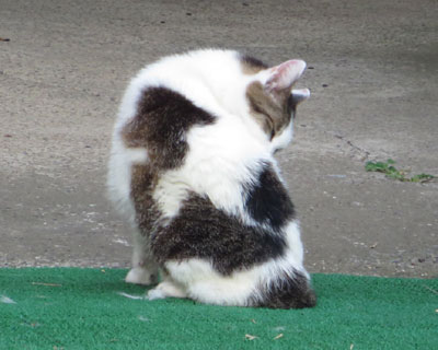 ���������ꏊ�ɂ���