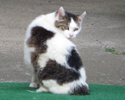 ���ɋC�Â�