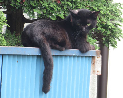 �v�X�̍��˂������