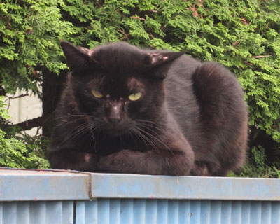 �ј\������