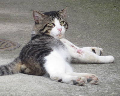 �`���b�ƌ��Ă܂��Q��