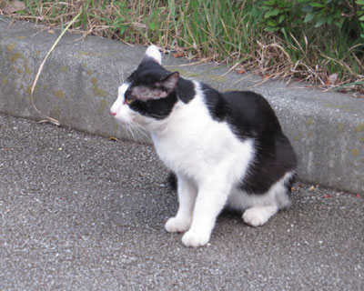 �������Čł܂����˂�