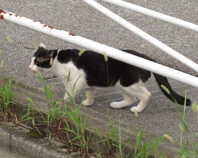 �����I�񂳂��ĕ��������f