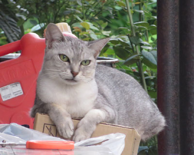 �����������˂������