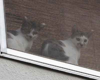 �߂Â����珉�߂ċC�Â�