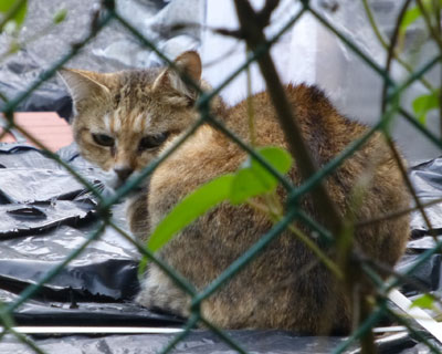 �܂�����