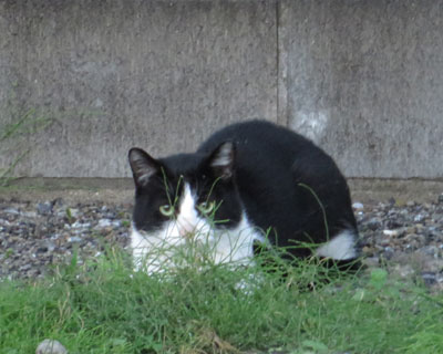 �����Ȃ��͂�