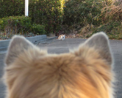 ���~�o�͌������Ă�����ĂȂ�