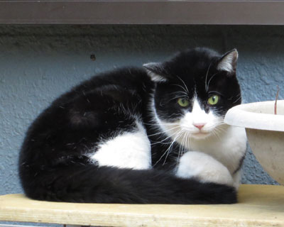 �I�˂����ŏ�i��