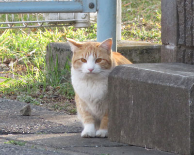 ���������`