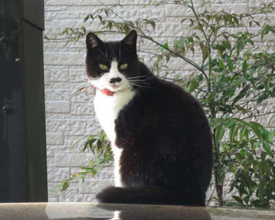 ����ѕE�����