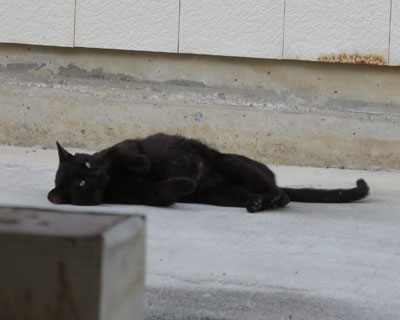 ����ɂ��