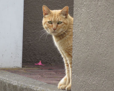 �F�B��������