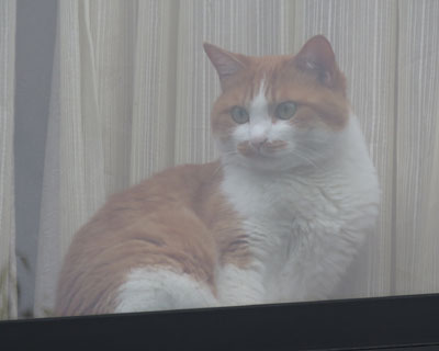 �O�̂˂�������˂�