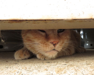 �킴�킴����o���n��