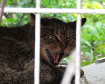 ������[���I