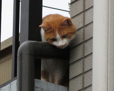 �����Î�