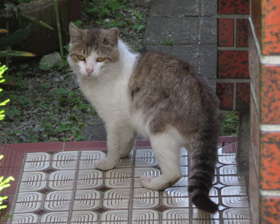 ���΂炭�����玡���Ă�